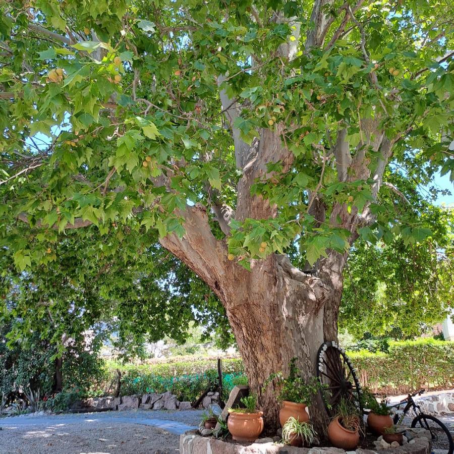 Posada Del Arbol Capilla del Monte Exterior photo